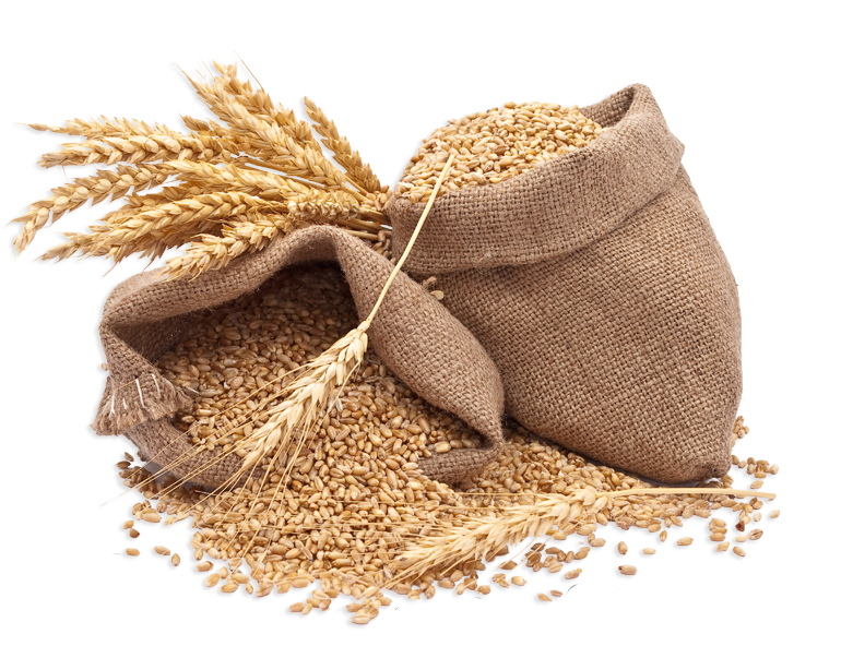 Grains